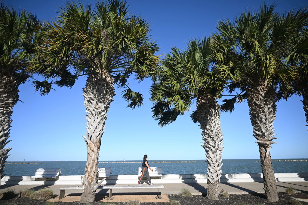 Corpus Christi City Council rejects $60,000 community gift to benefit water desalination plant