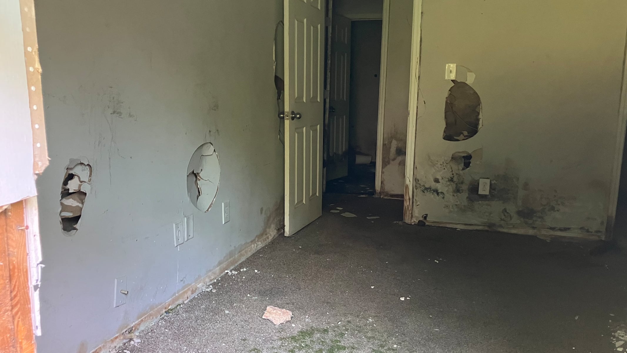 Forced out Homewood residents say apartments overtaken by rats, mold, stray dogs