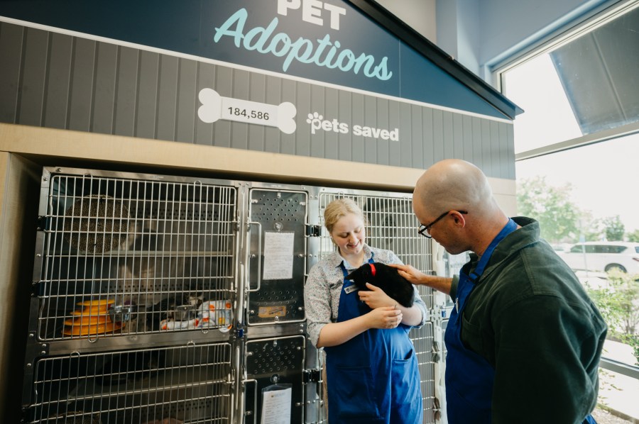Major pet store chain closing dozens of stores