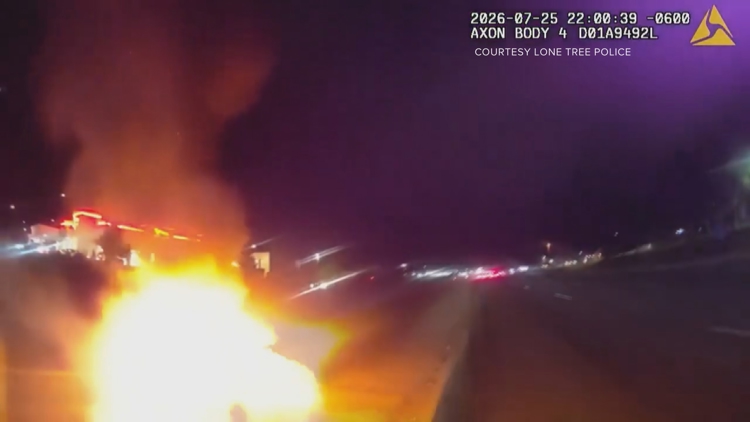 Fire intentionally set in Lone Tree median, police say