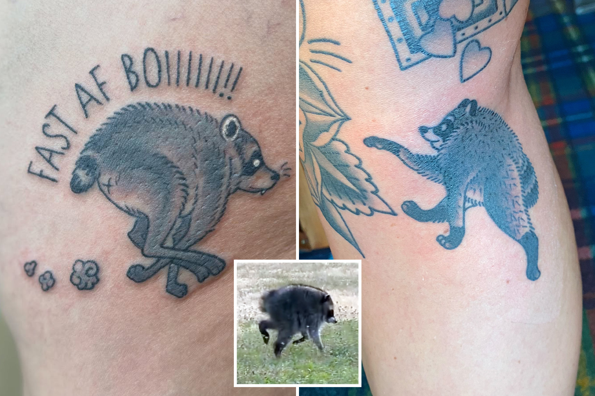 Seattle’s viral critter Jimothy the raccoon inspires tattoo trend