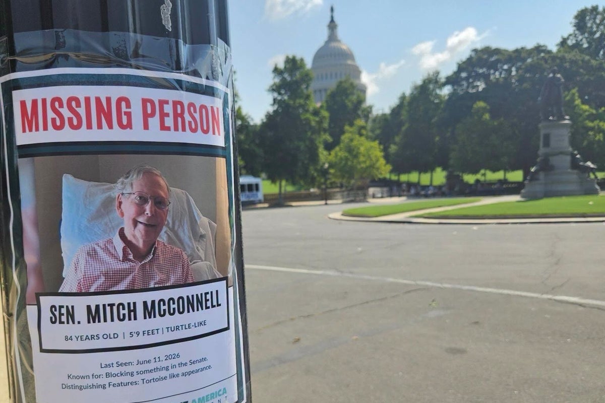 Pranksters go on hunt for Mitch McConnell placing ‘missing person’ posters around DC