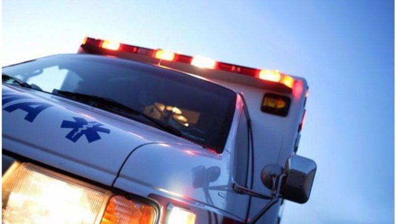 65-year-old man shot after getting into argument with person who hit cat with car