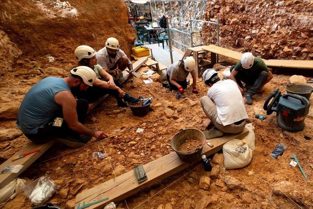 Human ancestors may have been cannibals eating adults and children 850,000 years ago