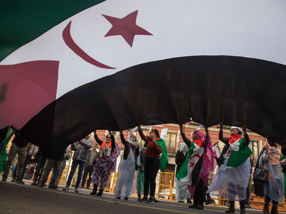 The Odyssey Is Facing a Boycott for Filming in Occupied Western Sahara