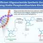Stable DNA building blocks enable faster oligonucleotide synthesis without oxidation