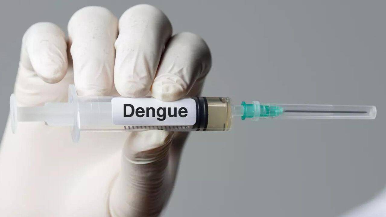 Ahead of dengue vaccine rollout, all 4 strains found in circulation