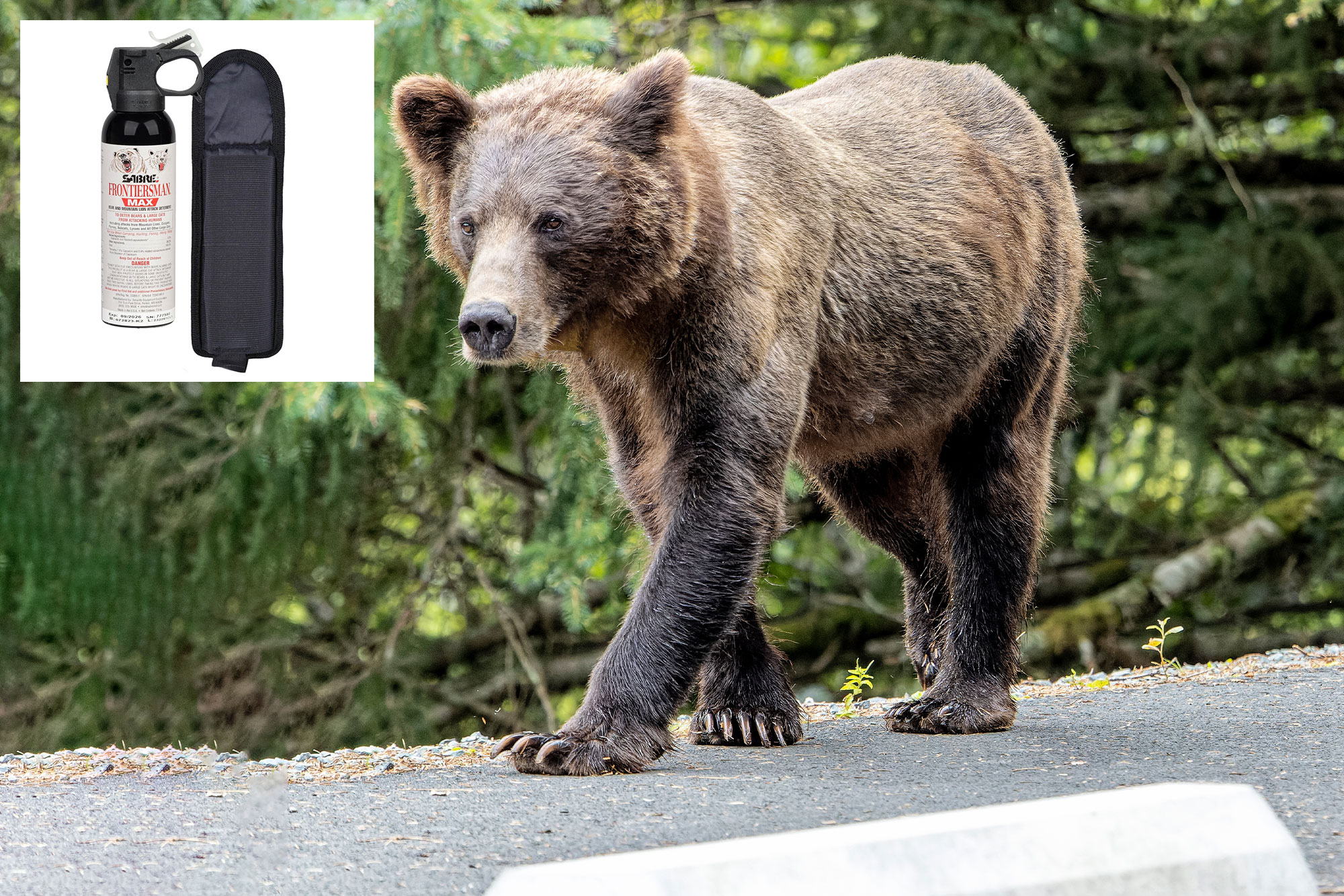 Elderly woman unleashes drive-by bear spray attack in Trader’s Joe’s parking lot