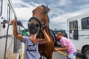 'Where country meets city': Youth exhibitors kick off Lancaster County Super Fair