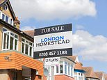 House sales drop in summer property slump: Frustrated sellers urged to cut price now, not wait until September