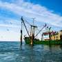 A climate resilience strategy to strengthen US seafood competitiveness