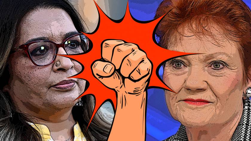 Pauline Hanson’s racist tweet should still have been legal