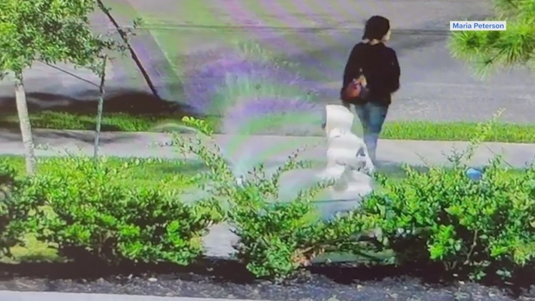 Caught on camera | Thieves cause thousands in damage during Kingwood backflow theft