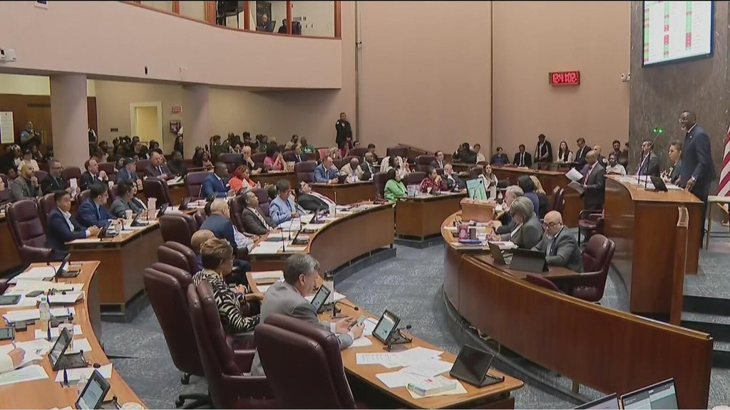 Chicago politics: New mayoral candidate, push to delay Snelling's replacement, and more