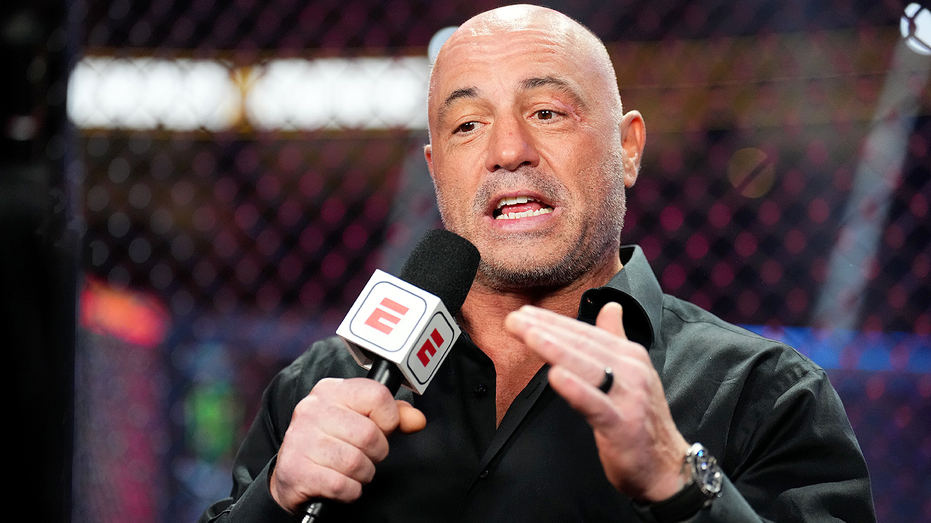 Joe Rogan warns liberals against trying to turn Texas blue, says it would ruin the state's 'delicate balance'