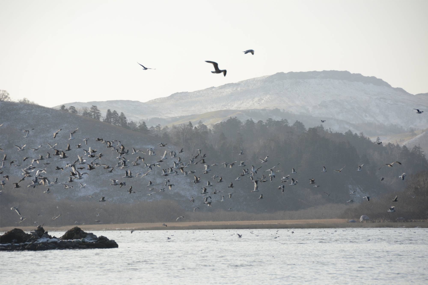 Russia to name Northern Territories island after Soviet spy Sorge