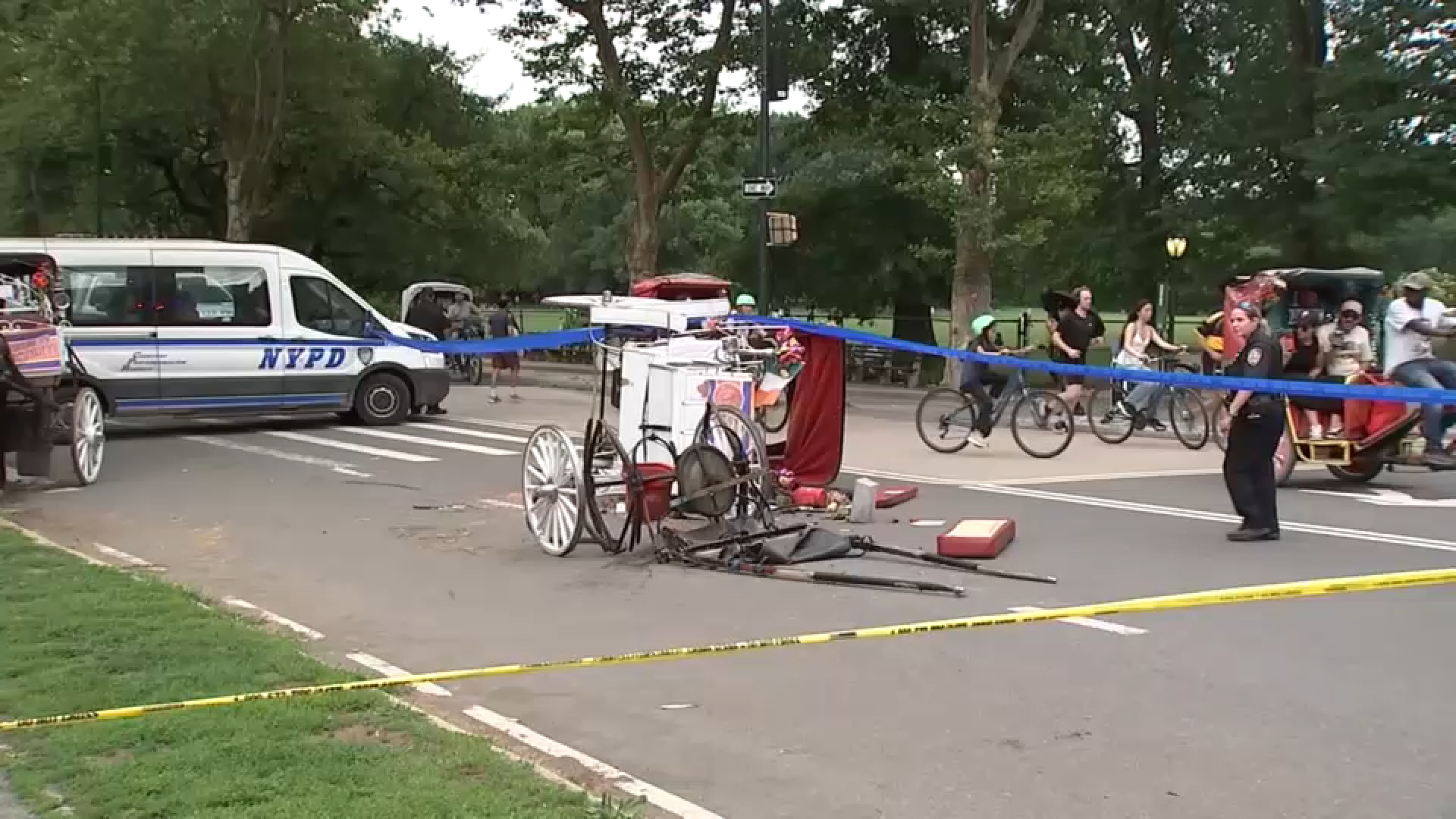 New questions emerge over what may have led to Central Park deadly horse carriage accident