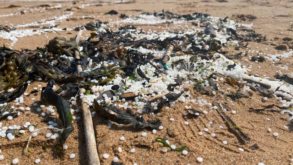Port officials criticised for not acting faster over nurdle spill