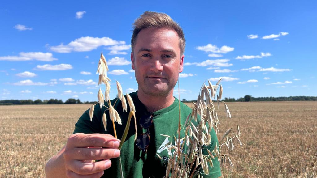 How farmers are adapting to hot, dry conditions