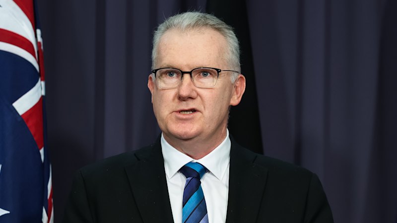 Hanson’s ISIS ban puts deportation of 750 criminals at risk: Burke