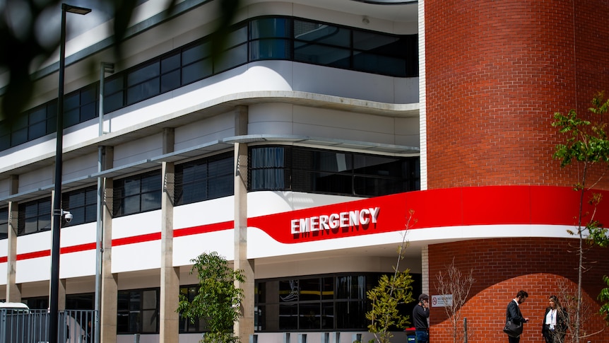 SA nurses and midwives reject government pay rise offer