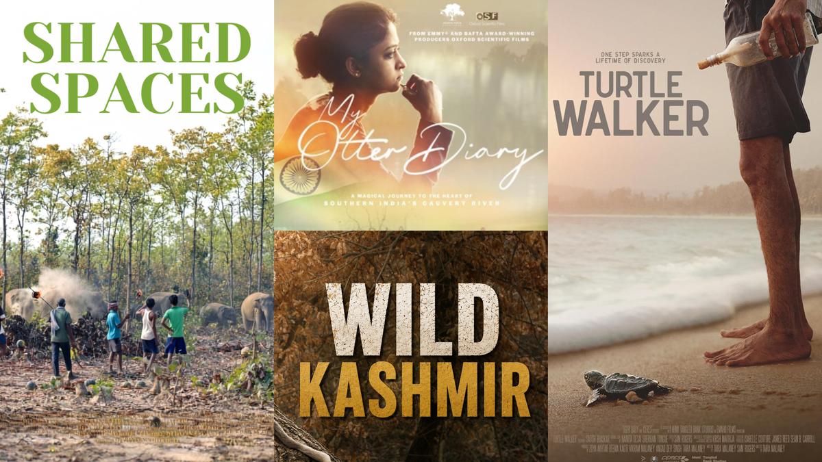 ‘India: Epic Wild Stories’: Warner Bros. Discovery unveils new Animal Planet documentary anthology