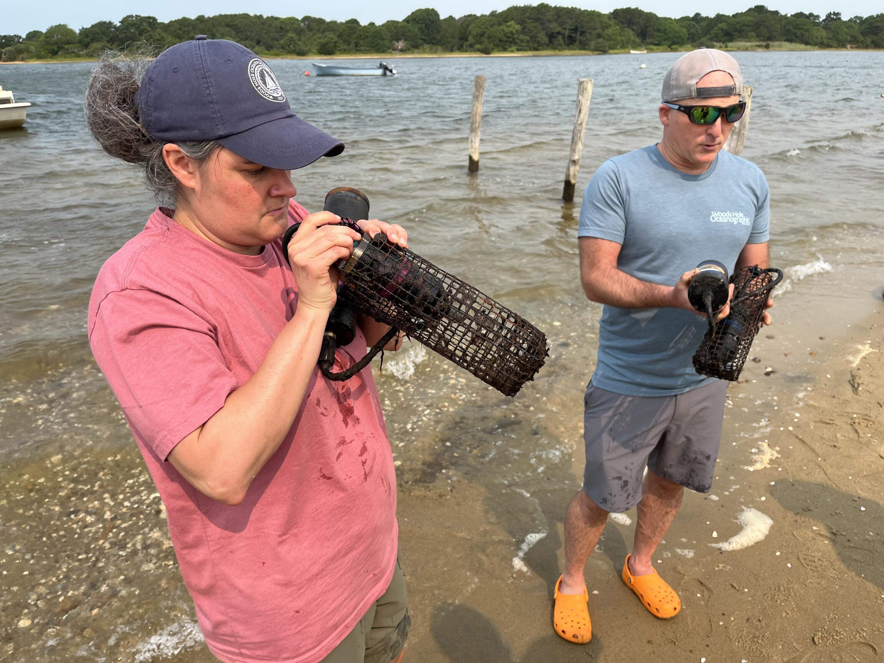 The oysters demand Aerosmith! Research investigates if local sounds can help restore Mass. oyster reefs