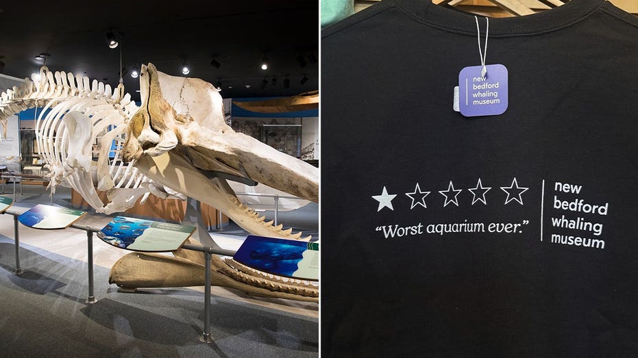 'Worst aquarium ever' review sends whaling museum's sales soaring 250%