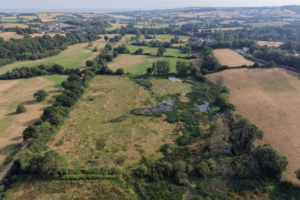 Beavers create wetland areas that stay green and boost resilience in drought