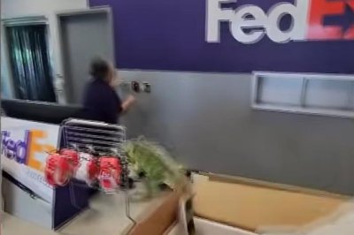 Watch: Iguana leaps out of box, gives FedEx store employees a scare