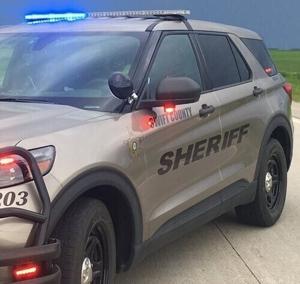 31 cats and four dogs taken into protective custody following search warrant