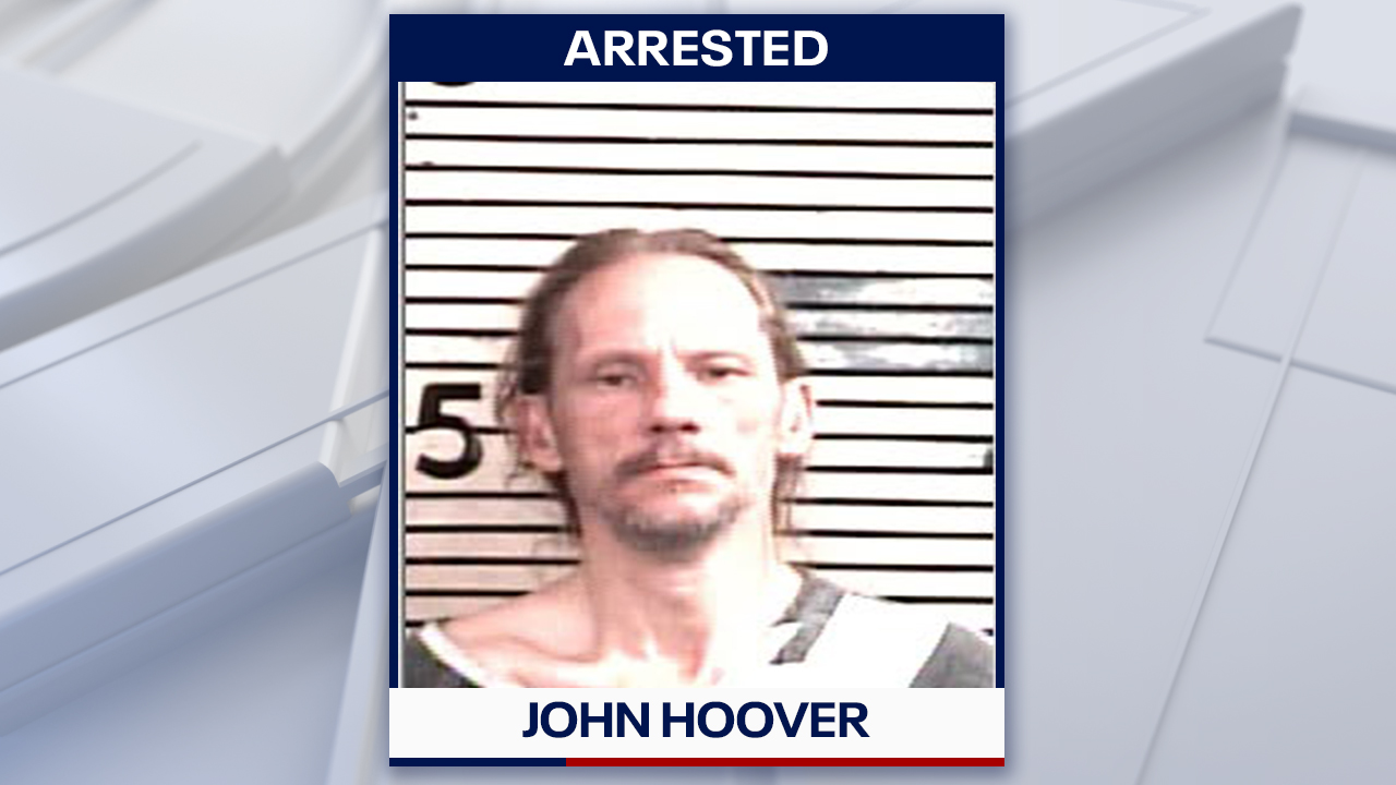 Florida man arrested after deputies find dead, neglected dogs during welfare check: HCSO