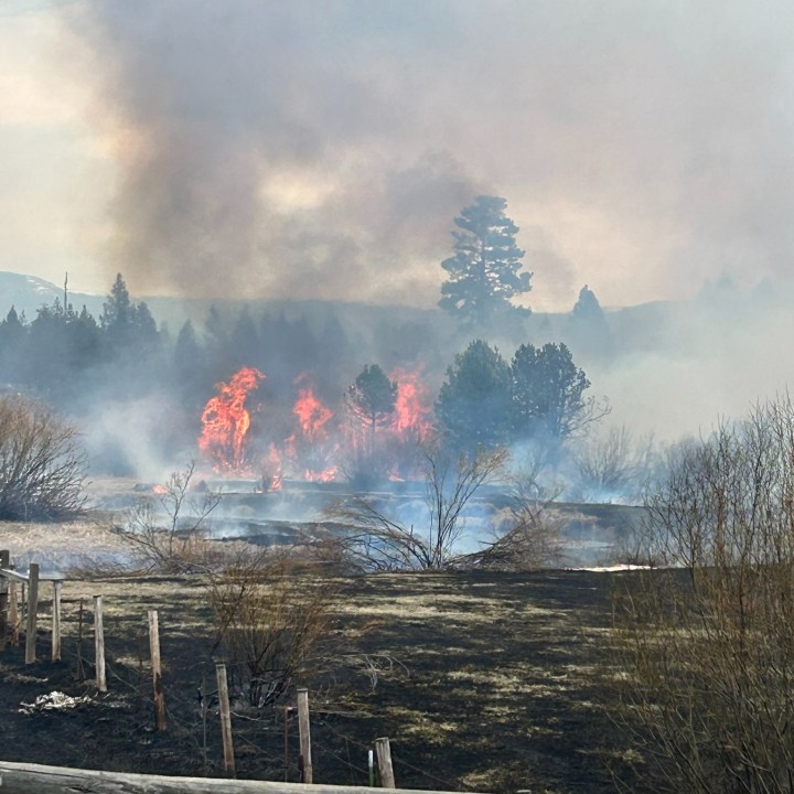 Oregon on pace for most historic wildfire season on record with months to go