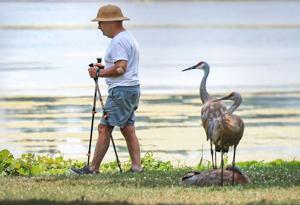 Photo of the day: Sharing the shoreline