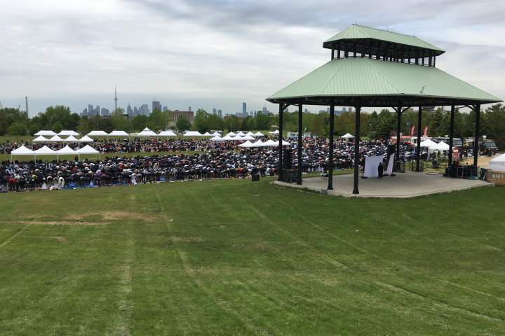 Afrofest 2026 cancelled due to capacity concerns