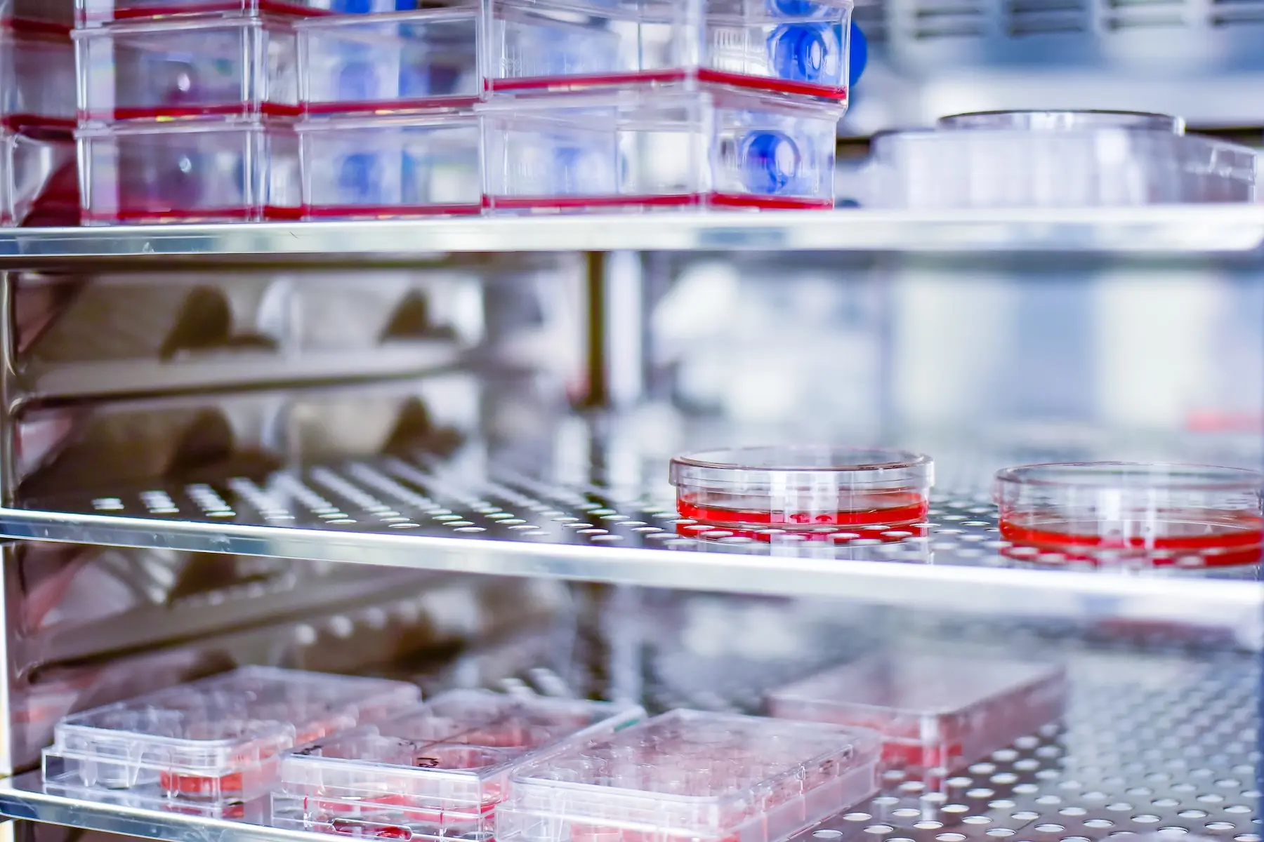 Healthcare Briefs: Forte Biosciences Acquired In $2.2 Billion Deal By Amsterdam-based Agenx