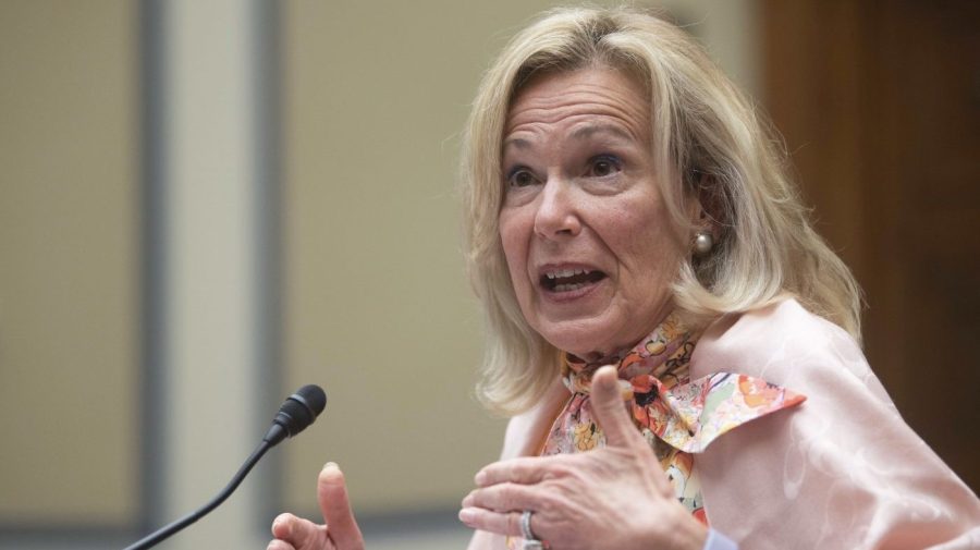 Birx says ‘persistent anger’ over COVID response evident after Fauci hearing
