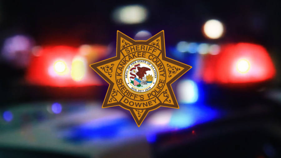 Illinois sheriff's office employee let go after online video
