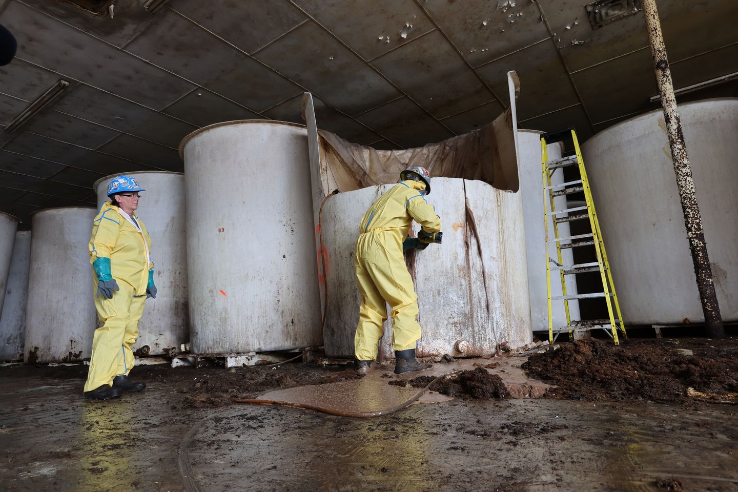 5 questions about the St. Mary's fish sauce cleanup