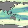 Meet WOMBATlite, the model helping researchers follow the ocean's carbon