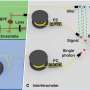 Cesium atoms and quantum dots generate indistinguishable photons for modular quantum networks