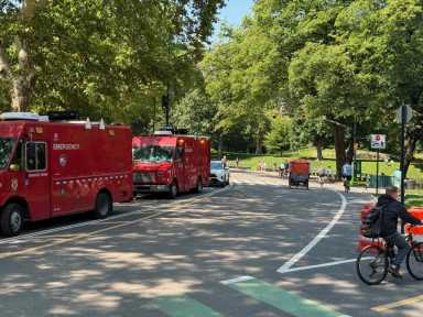 Stray voltage may have caused fatal Central Park horse carriage crash, union argues