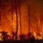 Southern Europe 'becoming more flammable' in hotter climate, experts say