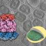 Uncovering the structure of the poxvirus 'portal complex'