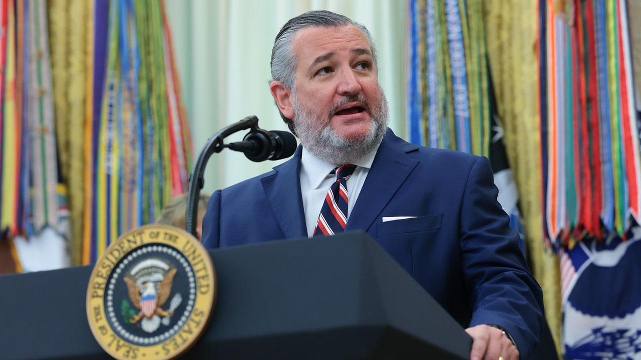 ‘Democrats Want Illegal Aliens to Vote’: Cruz Pushes GOP to Pass SAVE America Act