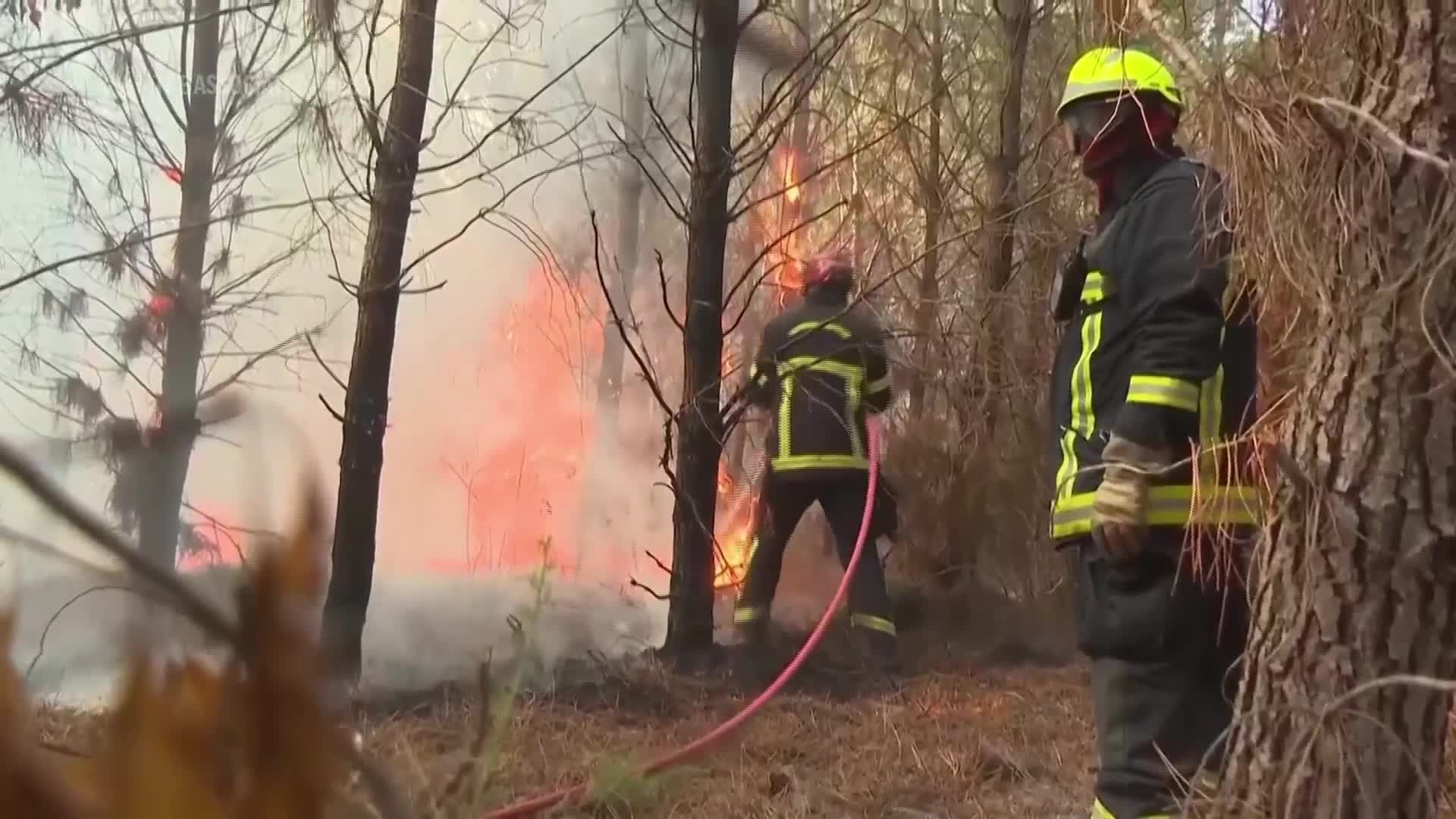 Human-caused climate change made Spanish wildfires 20 times more likely, scientists calculate