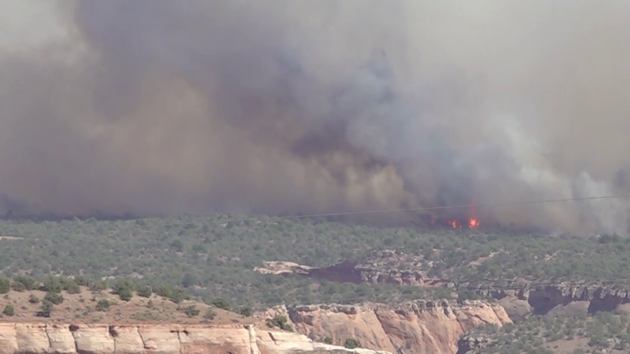 New information released on firefighter deaths from Knowles Fire