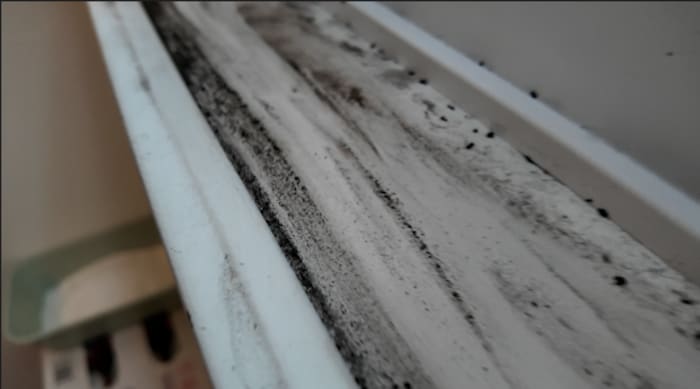 Kissimmee woman sues Turnpike contractor, says construction made home unlivable