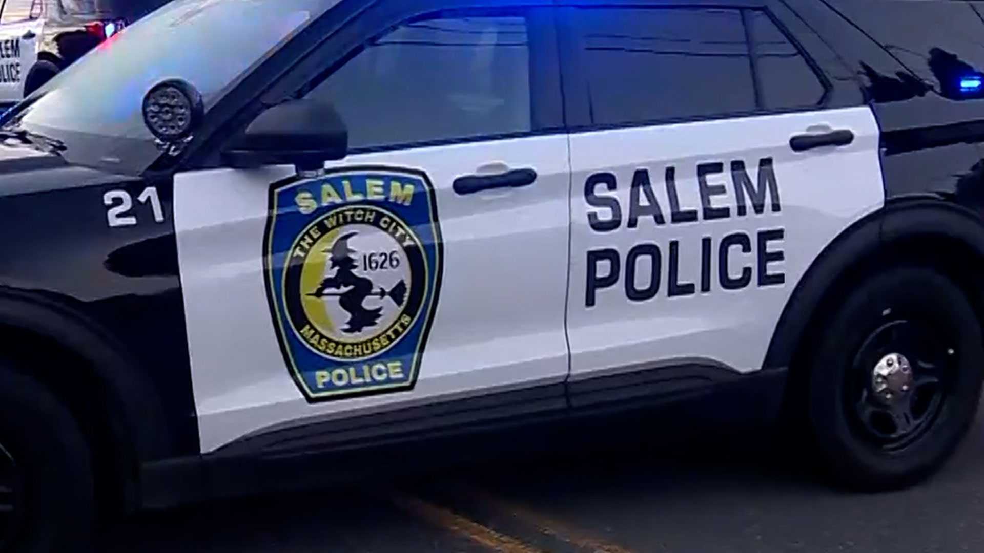 Owner arrested after dog found with infected leg wound at North Shore home