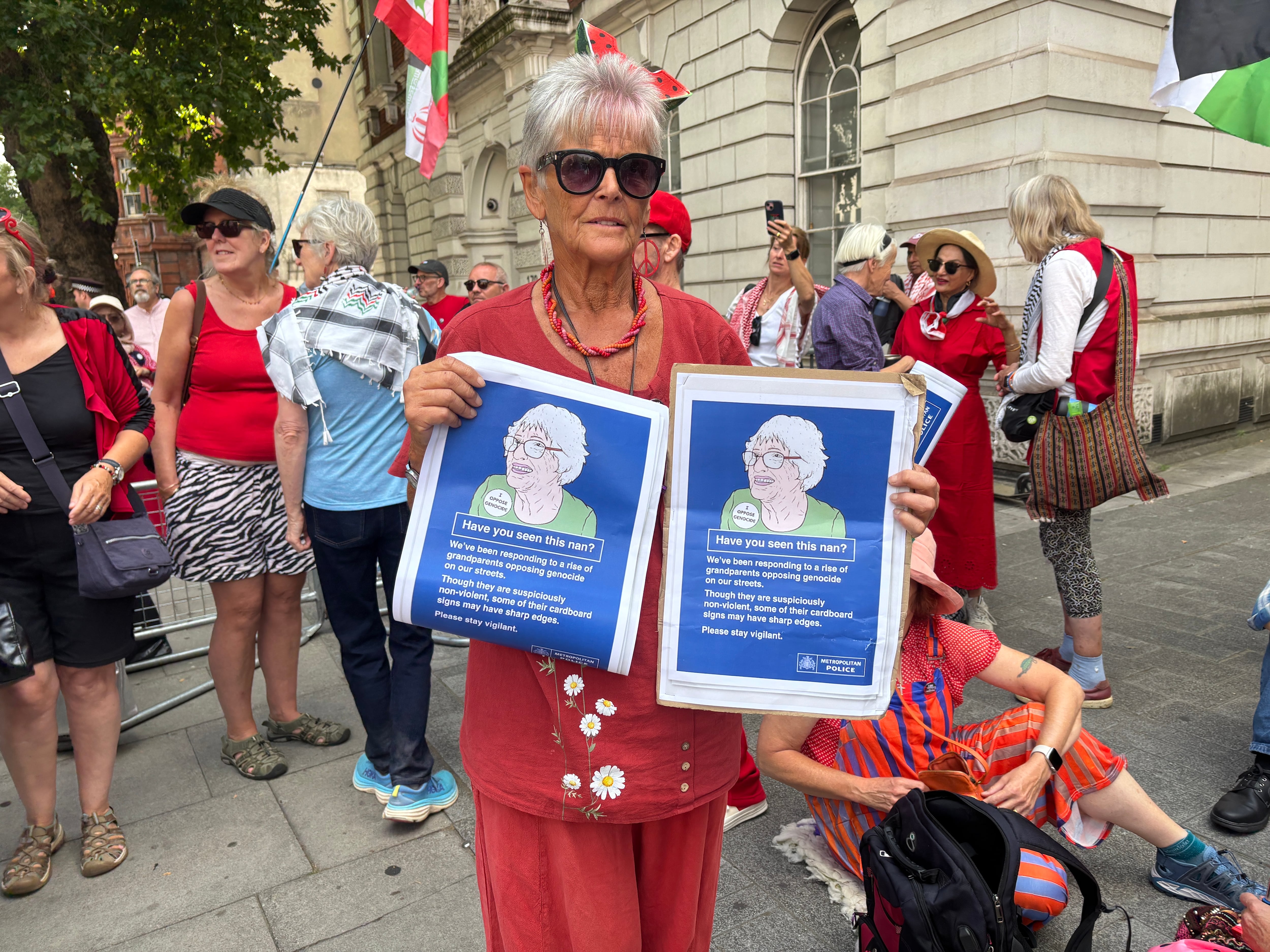 Palestine Action's many 'nans' put themselves on the line to inflate UK terror arrests